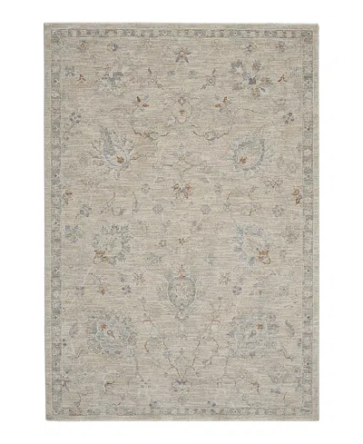 Nourison Home Infinite Ift04 Area Rug, 3'11 X 5'11 In Light/grey