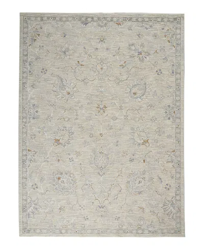 Nourison Home Infinite Ift04 Area Rug, 7'10 X 10'4 In Light/grey