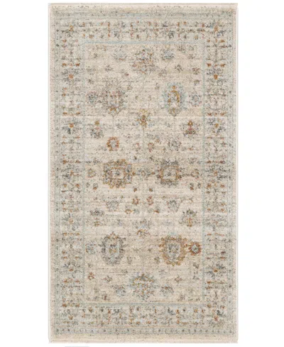Nourison Home Oases Oae01 2'6"x4'6" Area Rug In Ivory