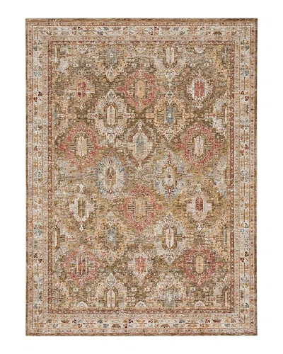 Nourison Home Sahar Shr01 Area Rug, 7'10 X 10'4 In Brown