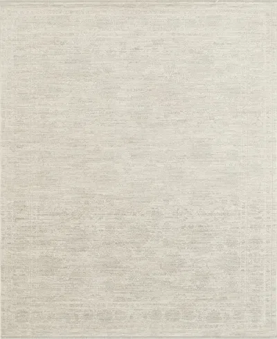 Nourison Home Shadows Shw03 3'11"x5'11" Area Rug In Neutral