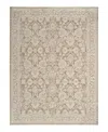 Nourison Home Shadows Shw03 Area Rug, 10' X 13' In Nude