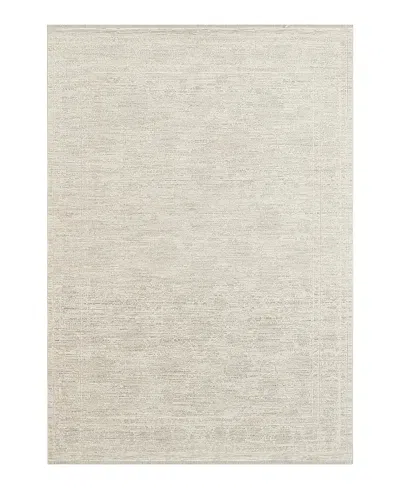 Nourison Home Shadows Shw03 Area Rug, 3'11 X 5'11 In Neutral