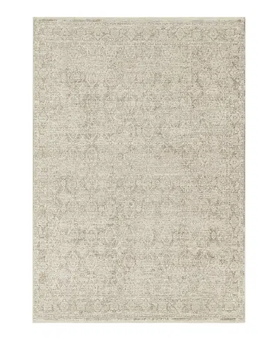 Nourison Home Shadows Shw04 Area Rug, 5'3 X 7'3 In Neutral