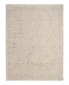 Nourison Home Shadows Shw04 Area Rug, 7'10 X 9'10 In Neutral