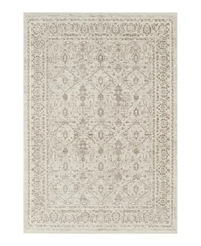 Nourison Home Shadows Shw05 Area Rug, 5'3 X 7'3 In Neutral