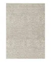Nourison Home Shadows Shw06 Area Rug, 3'11 X 5'11 In Neutral