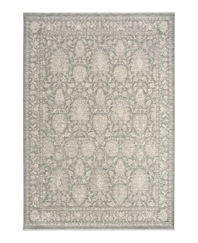 Nourison Home Shadows Shw08 Area Rug, 3'11 X 5'11 In Gray