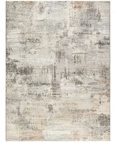 Nourison Home Trends Sut04 7'10"x9'10" Area Rug In Beige,gray