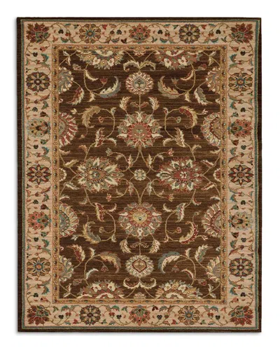 Nourison Living Treasures Li04 Area Rug, 3'6 X 5'6 In Brown