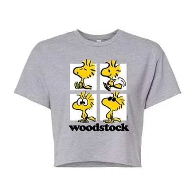 Novelty T-shirts Woodstock Cropped Tee Womens Juniors Crew Neck Long Sleeve Regular Fit Peanuts Graphic T-shirt In Gray