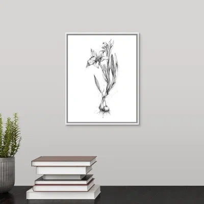 Novogratz 'bloom Sketches I' By The  - Drawing Print On Canvas In Wrapped Canvas