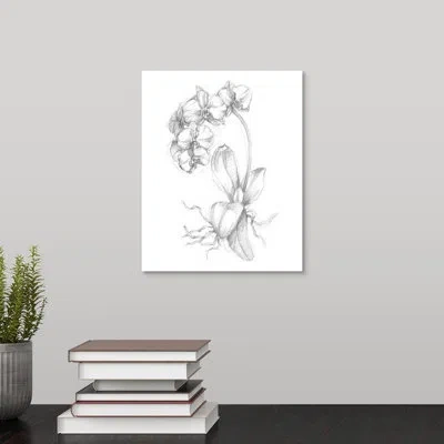 Novogratz 'bloom Sketches V' By The  - Drawing Print On Canvas In Wrapped Canvas