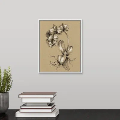 Novogratz 'vintage Bloom Sketches V' By The  - Drawing Print On Canvas In Wrapped Canvas