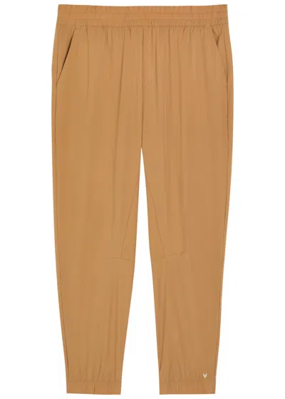 Now You Live Saxby Tapered-leg Shell Sweatpants In Yellow