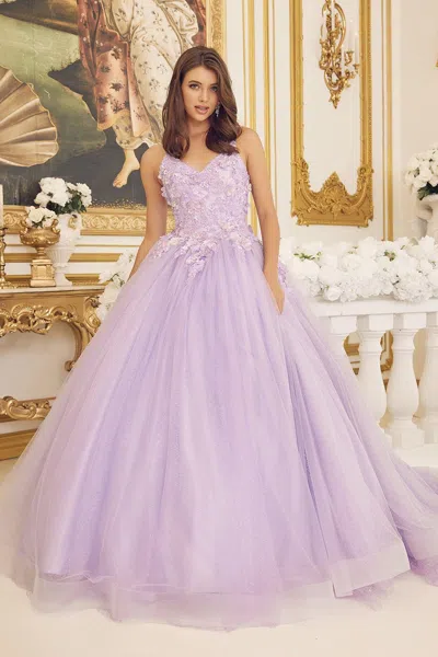 Nox Anabel Cu1115 Long Spaghetti Strap Quinceanera Dress Ball Gown In Purple