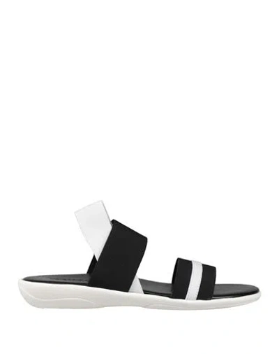 Nr Rapisardi Woman Sandals Black Size 7 Elastic Fibres