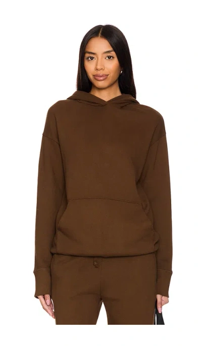 Nsf Hoodie In Brown