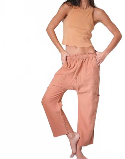Nsf Shailey Paperbag Waist Pant In Sunbaked In Neutral