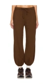 Nsf Sweathosen In Brown