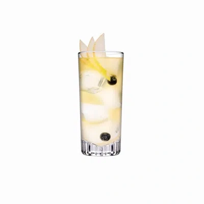 Nude Caldera Set Of 4 Highball Glasses Small In Clear