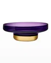 Nude Contour Large Bowl In Purple