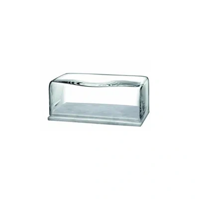 Nude Cruet Butter Plate In Clear