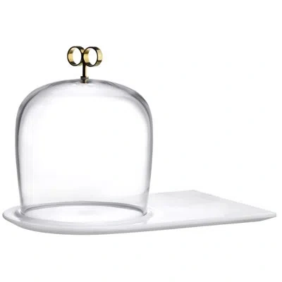 Nude Cupola Cake Dome High Cheese Board In Clear