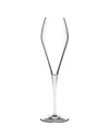 Nude Fantasy Champagne Glasses, Set Of 2 In Clear