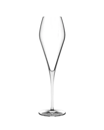 Nude Fantasy Champagne Glasses, Set Of 2 In Transparent