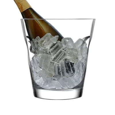 Nude Glacier Wine Cooler In Clear