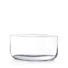 Nude Glass Blade Flat Clear Vase In Clear