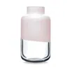 Nude Glass Magnolia Vase, Medium In Pink
