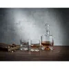 Nude Glass Shade Decanter & Glass Set In Clear