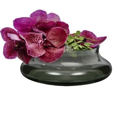 Nude Kurage 4.33" Lead Free Crystal Table Vase In Smoke