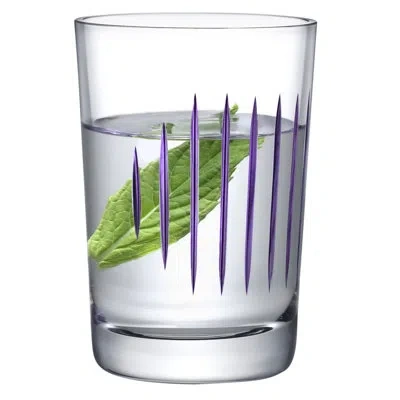 Nude Parrot Set Of 2 Lead Free Crystal Water Glasses In Clear