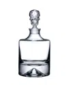 Nude Shade Whiskey Carafe In Transparent