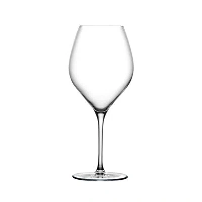 Nude Vinifera Lead-free Crystal All Purpose Wine Glasses, Set Of 2 In Clear