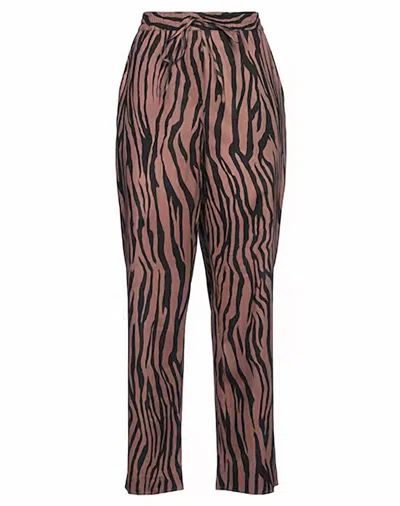 Nude Women Zebra Print Pant In Chocolate. In Multi