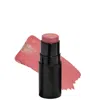 Nudestix Nudies Matte And Glow Core All Over Face Blush Colour 6g (various Shades) In Pink Ice