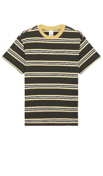 Nudie Jeans Leif Mud Stripe T-shirt In 碎花