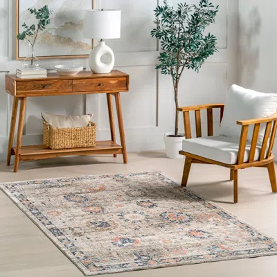 Nuloom Acelynn Distressed Traditional Area Rug In Multi