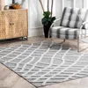 Nuloom Carly Raised Fishnet Trellis Area Rug