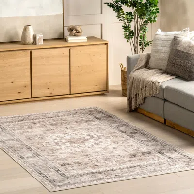 Nuloom Davi Faded Stain-resistant Machine Washable Area Rug In Gray