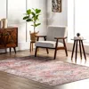 Nuloom Desna Machine Washable Faded Vintage Area Rug