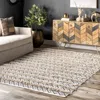 Nuloom Hand Loomed Cotton Teyana Area Rug