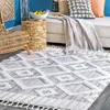 Nuloom Journey Shaggy Checkered Tiles Tassel Area Rug