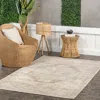 Nuloom Lotus Vintage Machine Washable Indoor/outdoor Area Rug