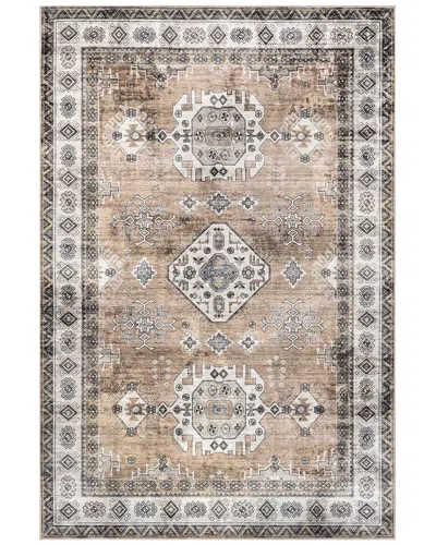 Nuloom Machine Washable Evelina Traditional Stain Repellent Area Rug In Brown