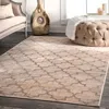 Nuloom Modern Viscose Trellis Fancy Area Rug